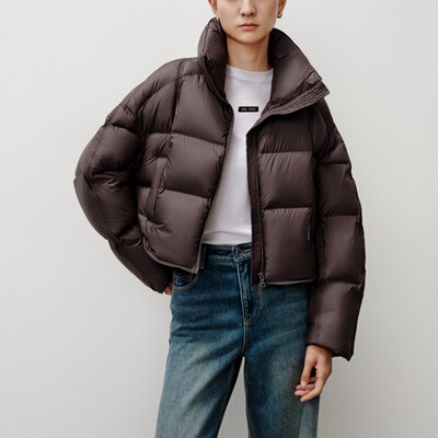 艾诺丝商场同款2025冬新款白鸭绒立领短款宽松羽绒服外套AR004143