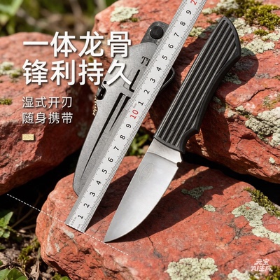 TH2刀dp02生存者小直刀pm115粉末钢小刀锋利高硬度户外刀水果刀
