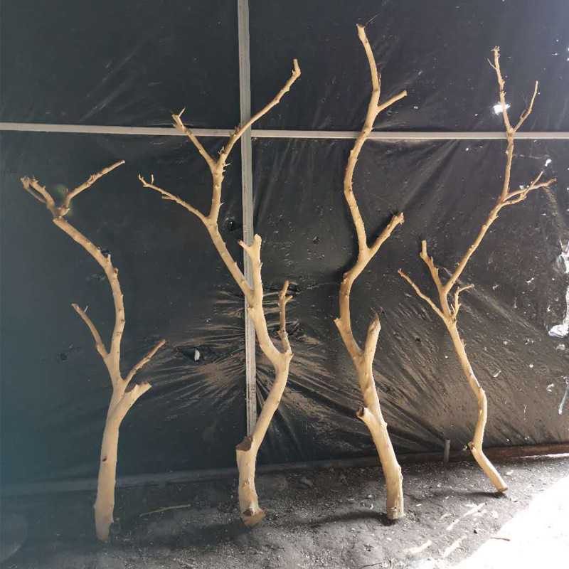 原木枯枝吊顶龙骨杈挂衣架枯木装饰艺术鸟架干树枝干枝造型树干壁