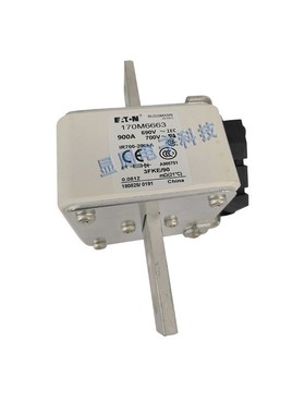 全新保险丝熔断器170M6663 170M6664 170M6665 170M6666 170M6667