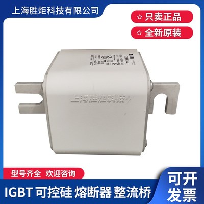 BUSSMANN熔断器 170M6142 6143 6144 6145 6146 6147 6148 6149