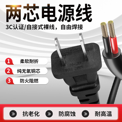 国标品质纯铜两脚电源线带插头