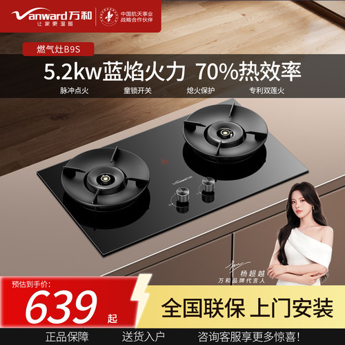 万和B9S一级能效5.2kw天然气液化气双灶嵌入式钢化玻璃面板燃气灶