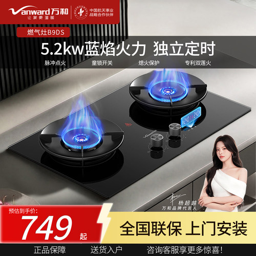 万和B9DS双边独立定时双灶5.2kw大火力嵌入式天然气液化气燃气灶