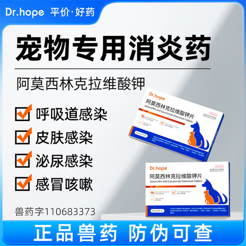 养宠常备宠物专用抗菌消炎药