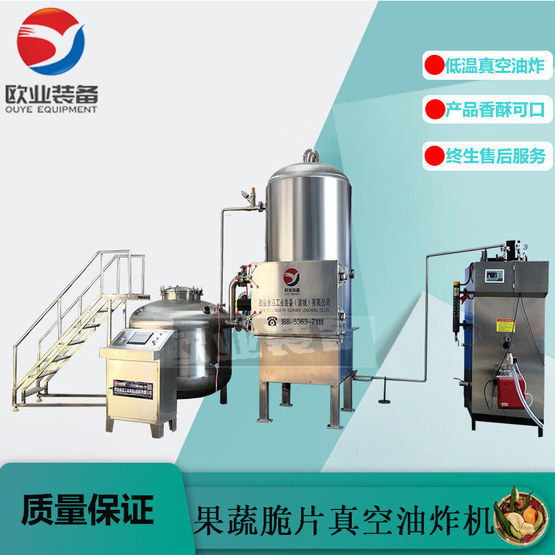 全自动大型果蔬脆片真空油炸机