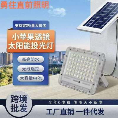 太阳能户外灯庭院灯家用新农村院子天黑自动亮防水感应超亮照明灯