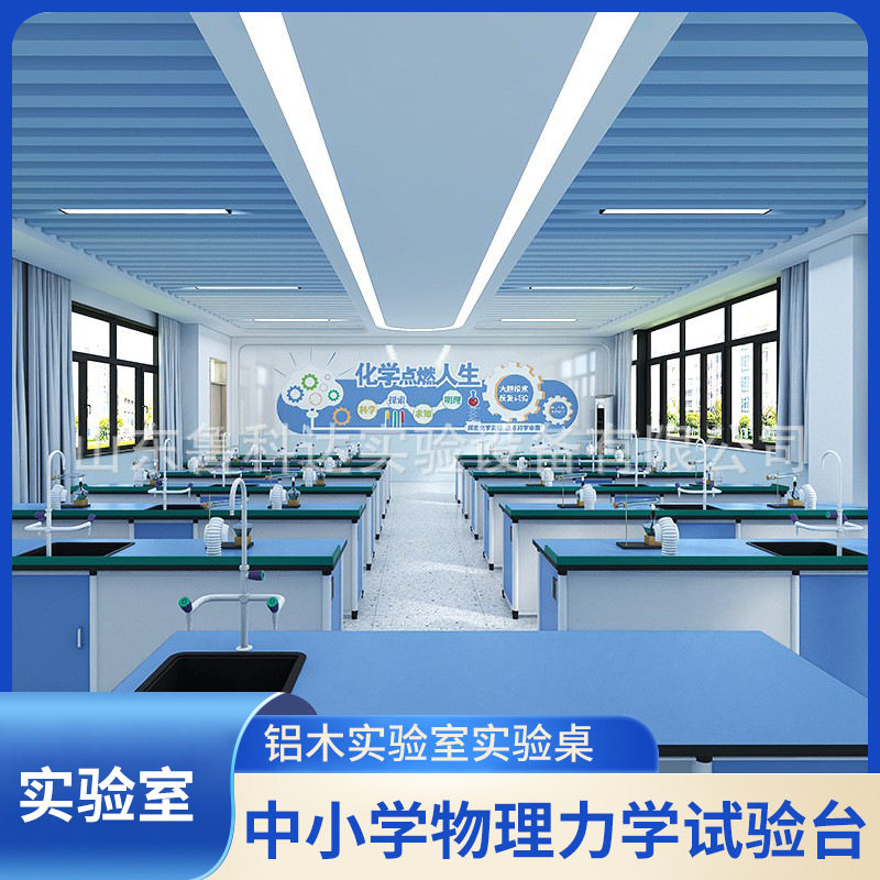 铝木化学下通风实验室中小学实验桌学校科学实验室设备厂家批发