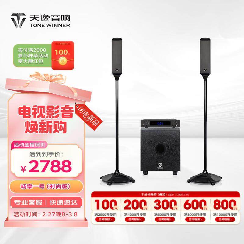 天逸（Winner）畅享一号家庭影院ktv音响套装家用K歌均衡效果器
