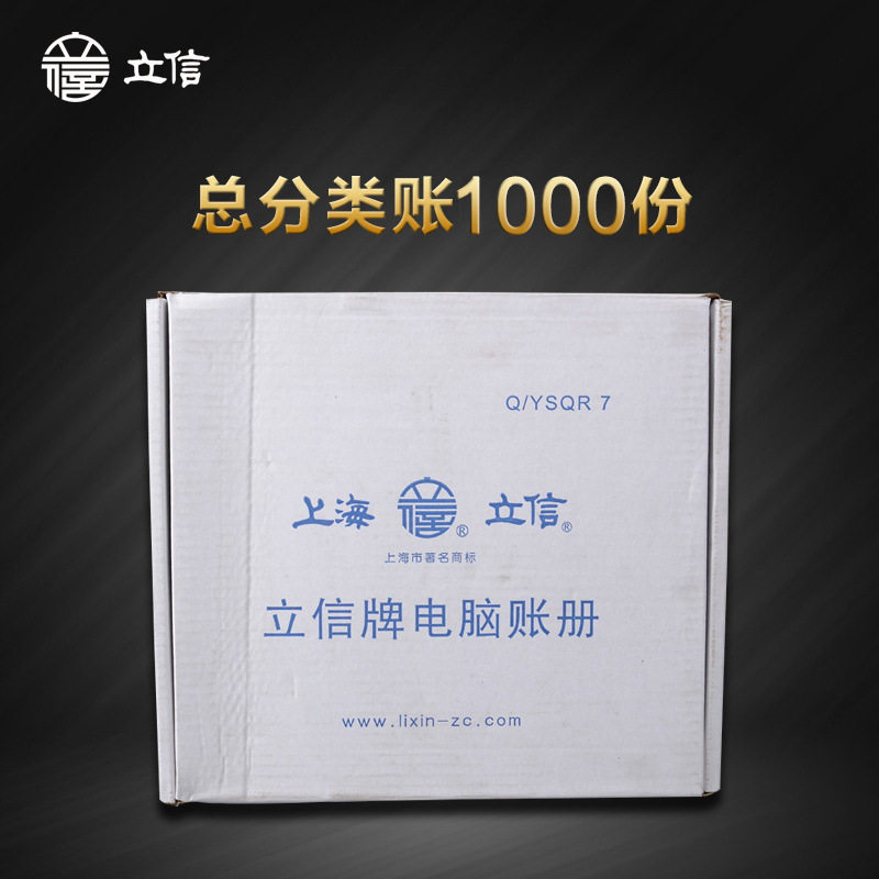 立信TR201总分类账电脑套打凭证连打总分类账财务会计电脑连续打