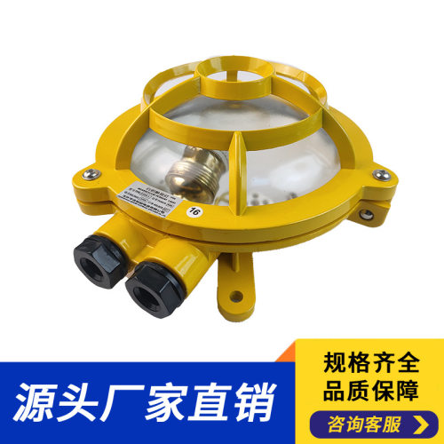 供应船用舱顶灯CCD4-1船用灯具船用白炽舱顶灯