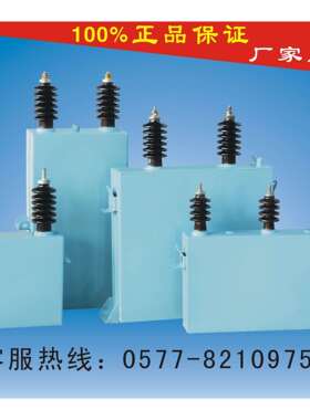 指月BFM,BAM,BWM,11-200-1W,高压电容器，网上直销