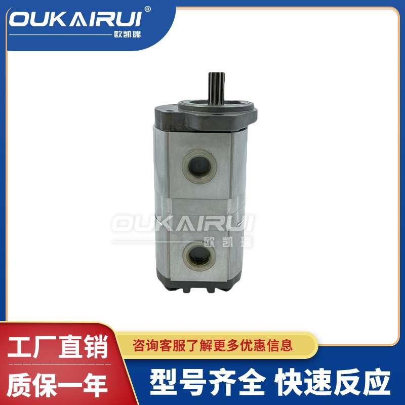 凯斯帕CASAPPA齿轮泵PLP20-4/6.3/7.2/8/9/10.5/11.2/14/16油泵