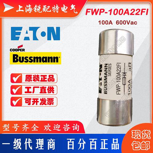 FWP-100A22FI 陶瓷管保险丝 600V 100A 22x58 巴斯曼BUSSMANN熔断
