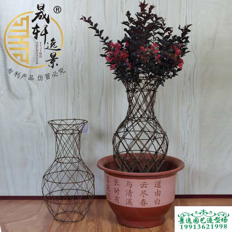 紫薇桂花罗汉松杜鹃海棠庭院阳台观赏盆景小花瓶骨架树艺铁艺