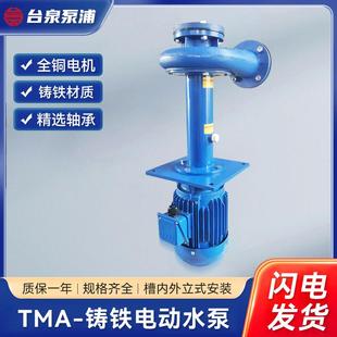 TMA铸铁水泵槽内外立式 防爆国产电机水帘柜喷淋泵化工泵 安装 东元