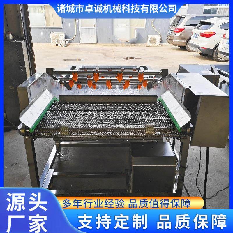 商用果蔬海鲜加工气泡清洗机连续式中药材高压喷淋清洗机设备,清洗/食品/商业设备,其他食品加工设备,淘宝优惠券,粉丝福利购,淘宝优惠卷