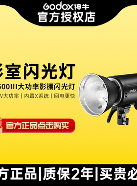Godox神牛DP600III三代摄影灯400W 600W 800W 1000W大功率专业影室灯人像室内婚纱美食家具补光灯拍摄灯套装
