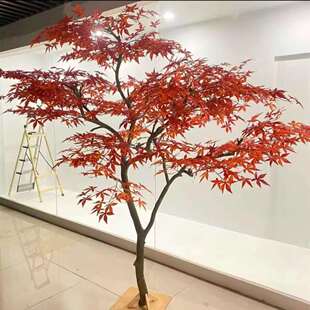 红枫树仿真树室内外落地大型景观日式庭院造景装饰假树枯山水干景