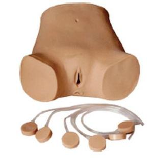 464腹腔穿刺训练模型