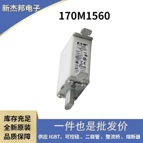 170M6010170M6011170M6012快速熔断器直流熔芯原装现货