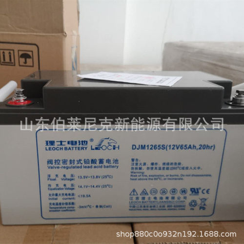 LEOCH理士蓄电池12V90AH DJM1290S 免维护蓄电池 太阳能光伏储能