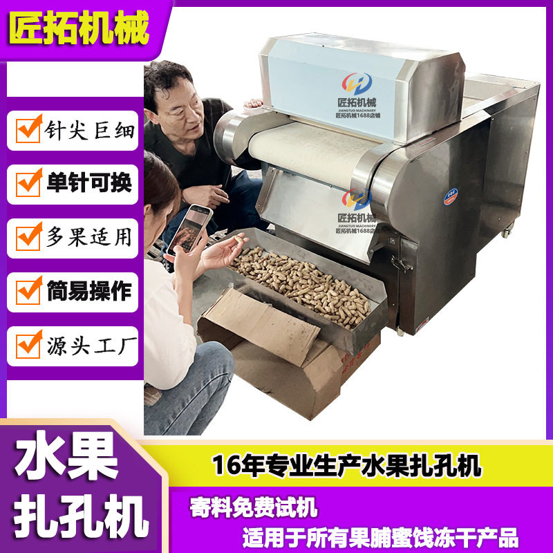 果脯浸糖前端扎孔机 自动输送蓝莓蔓越莓刺孔机 连续式水果扎孔机