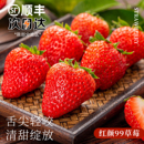 长丰红颜九九草莓新鲜水果应季 整箱红颜奶油草莓新鲜现摘孕妇水果