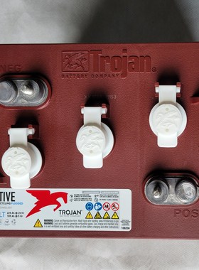 邱健蓄电池T-105 PLUS/美国Trojan电瓶6V225AH洗地机升降机观光