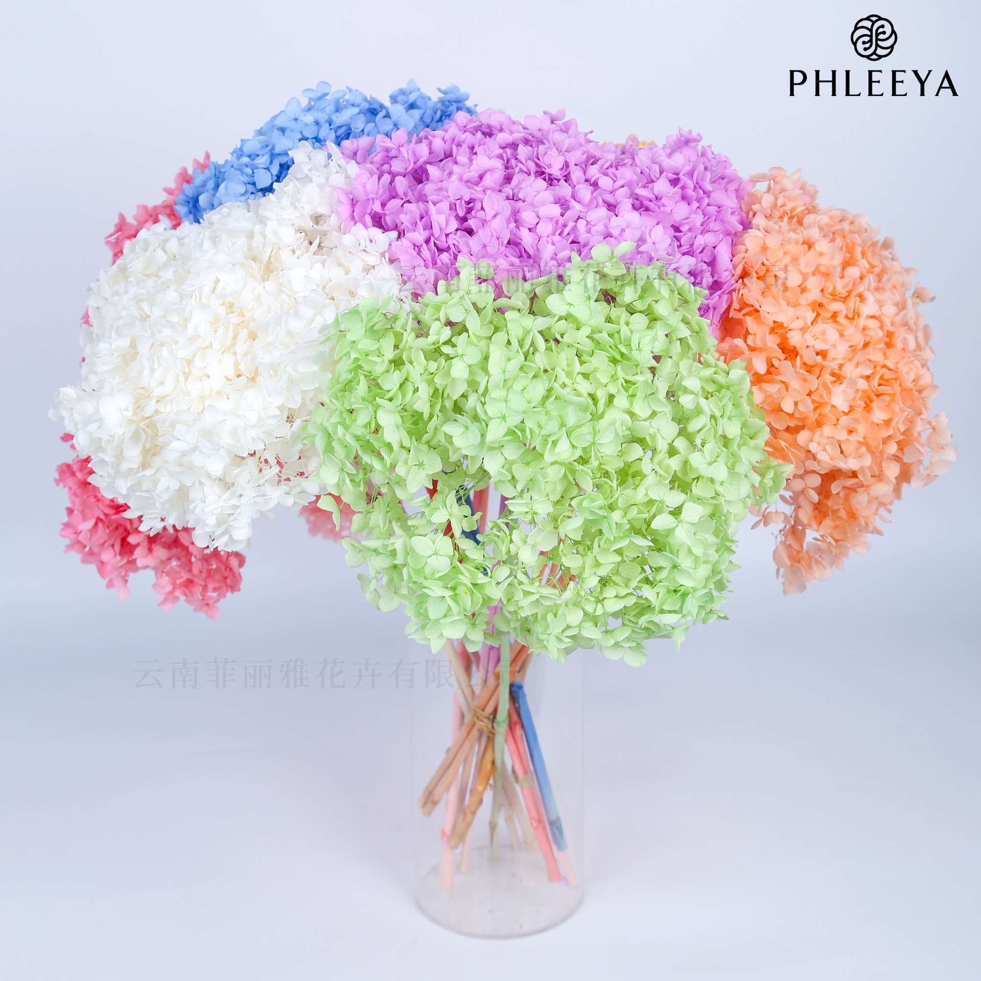 安娜绣球永生花干花绣球仿真花家居装饰diy手工材料 单只绣球