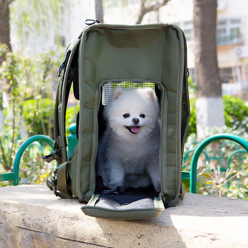 宠物狗狗猫咪外出便携双肩背包大尺寸大空间透气中小X型犬狗包猫