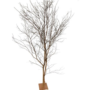 白树枝枯树枝造型酒店橱装饰婚庆装饰橱树家居落地