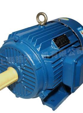 厂家货源机械设备TYPE Y132M2 -65.5KW电机三相异步电动机/马达