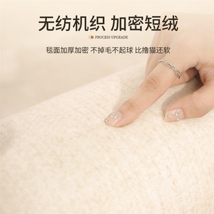 卧室床边毯防水防污沙发茶几轻奢高级家用地垫 地毯客厅侘寂风新款