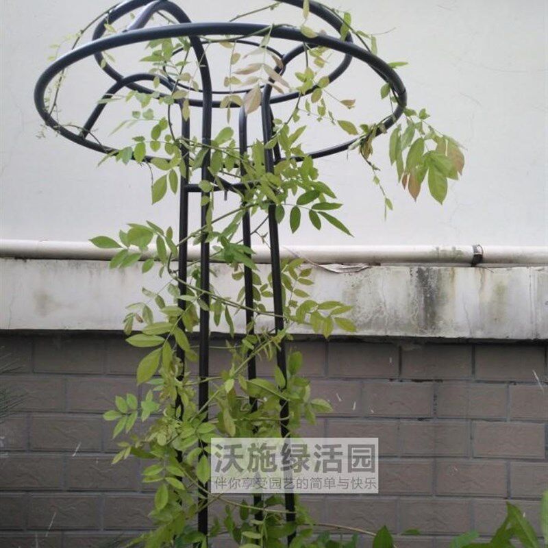 新品包邮蘑菇爬藤架m园艺花架庭院花园伞型爬藤花架铁线莲牵牛铁