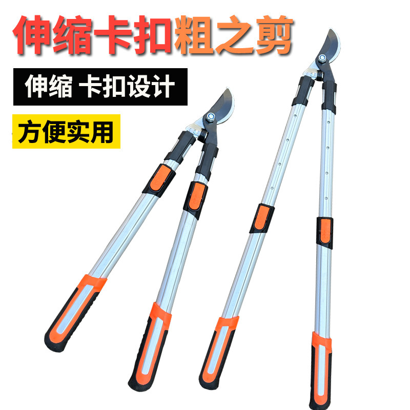 剪树枝专用大剪j子修树枝剪刀粗枝果树修剪园林葡萄茶树伸缩杆省