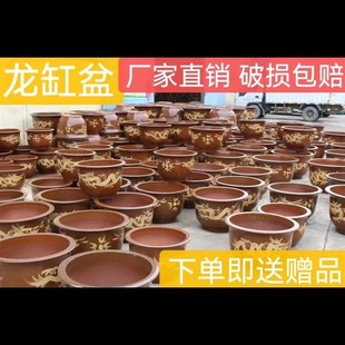 陶瓷花盆陶瓷龙盆家用种树专用盆种树植物花盆铁树花盆发财树大盆