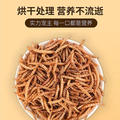 八哥饲料面包虫干芦丁鸡鹦鹉幼鸟鹌鹑专用鸟粮食物营养专用品大全