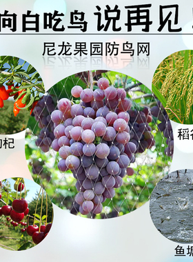 果园防鸟用的网果树大棚丝网菜园种菜防鸟鱼池养殖网草莓葡萄防护