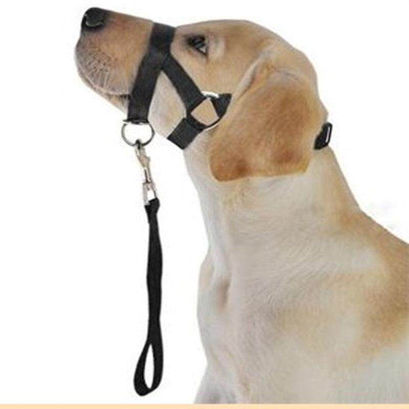 新款宠物狗嘴绳狗嘴鼻环训犬防犬吠防暴冲拉狗牵引绳宠物遛狗用品