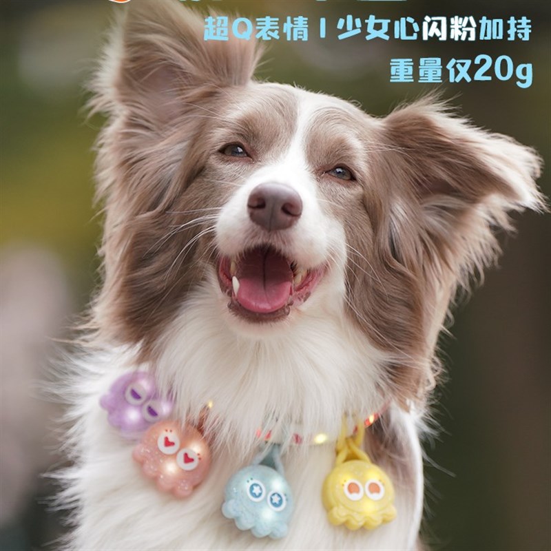 laroo莱诺宠物狗狗夜行灯小狗防D丢牌猫咪项圈脖圈夜间遛狗发光灯