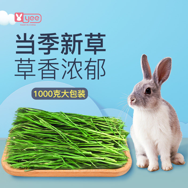 2022年新烘干小麦草干草兔粮豚鼠饲料岷县直销箱装毛重1000g