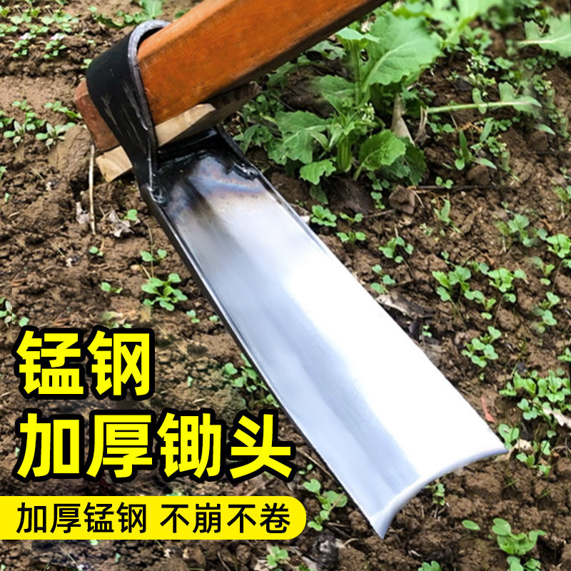 锄头种菜家用铁锹两用高猛钢锄头A种地工具农具镢头农用助撅头刨