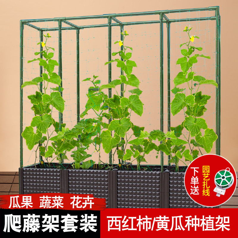 种植箱爬藤架黄瓜丝瓜爬s藤支撑杆豆角番茄支架庭院锌钢包塑爬藤