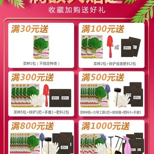 特深阳台蔬菜种植箱家庭有机蔬菜种植槽阳台种菜盆特大花盆花箱