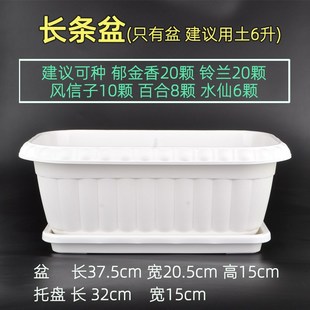 种菜盆长条盆花盆带土阳台家庭种菜神器室内蔬菜长方形种植槽