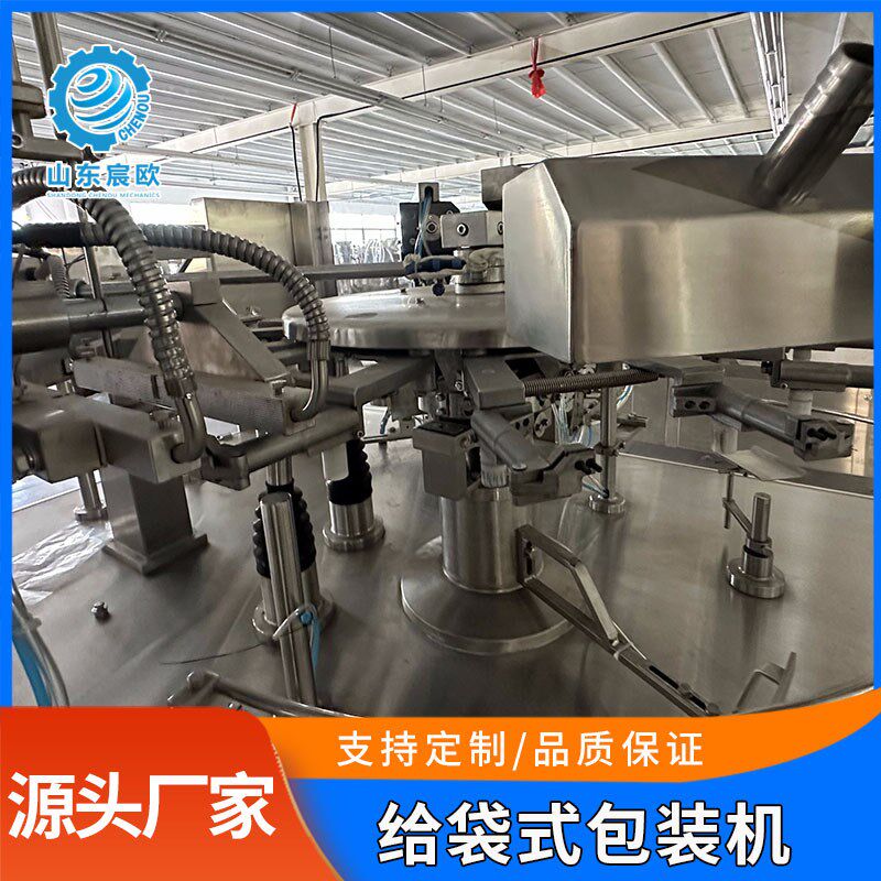 颗粒给袋式包装机 自立预制袋食品包装机 全自动称重包装机械设备