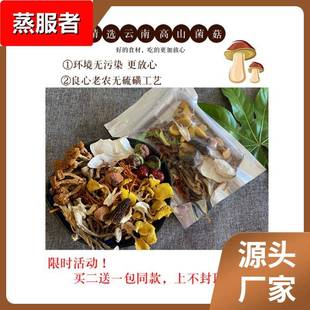 野生菌煲汤料50羊肚菌牛肝鹿茸松茸干货蘑菇 云南特产七彩菌汤包