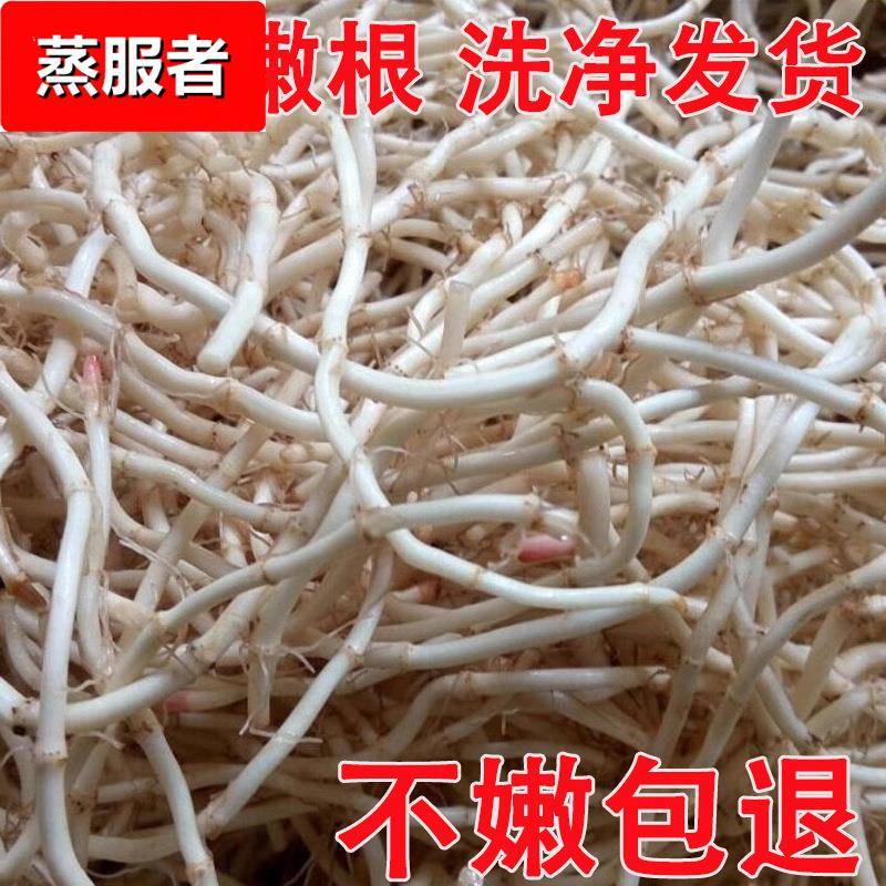 鱼腥草 现挖新鲜蔬菜折耳根 侧耳根 凉拌节节根 鱼腥草根包邮