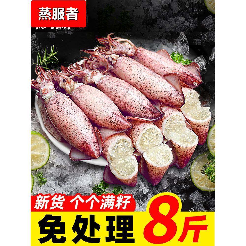 海兔子满籽墨鱼仔新鲜海兔鲜活带籽笔管鱼大乌贼籽乌鱿鱼海鲜水产